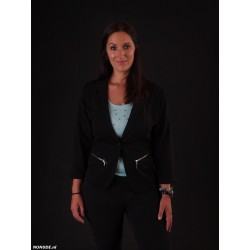 NN100 renate