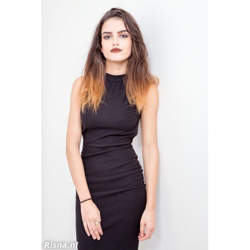 R001 Elma