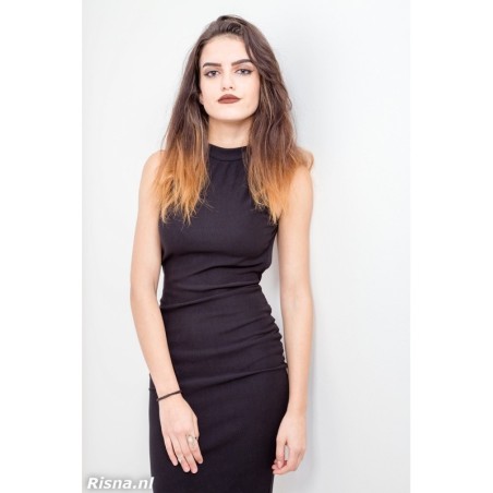 R001 Elma